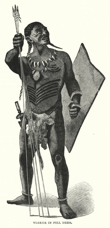 Krijger in Vol Ornaat (gravure) door English School