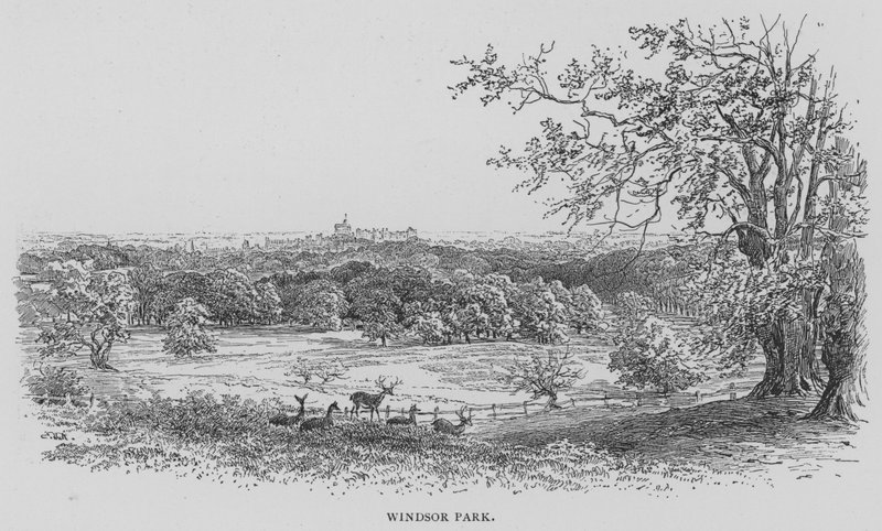 Windsor Park (gravure) door English School