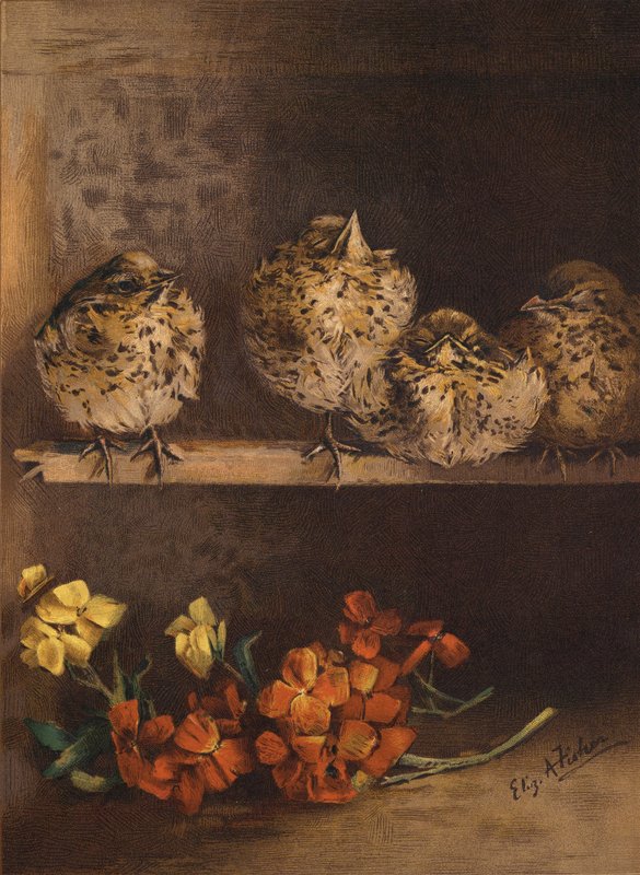 Jonge kuikens en bloemen door English School