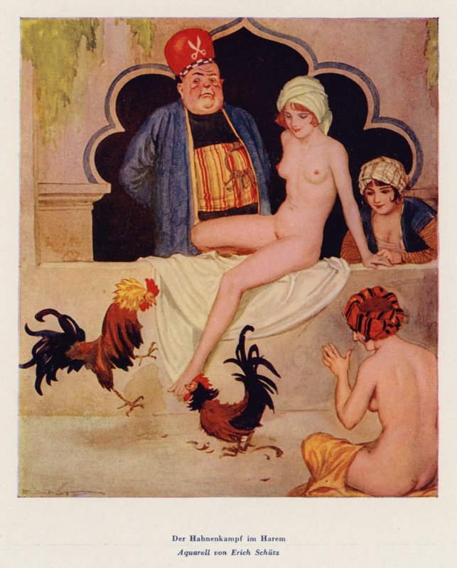 De hanengevecht in de harem door Erich Schutz