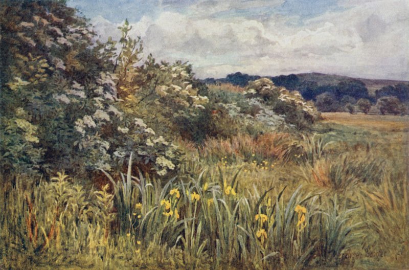 Wanneer glorie de weide kroont door Ernest Benger or Berenger