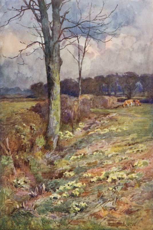 Het Verbreden Uitzicht door Ernest Benger or Berenger
