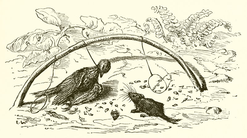 De Vogelvanger en de Leeuwerik door Ernest Henry Griset