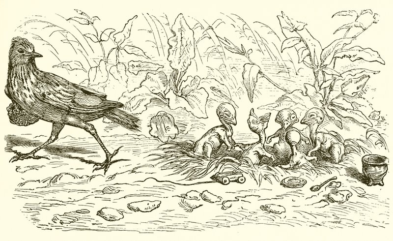 De Leeuwerik en haar Jonkies door Ernest Henry Griset
