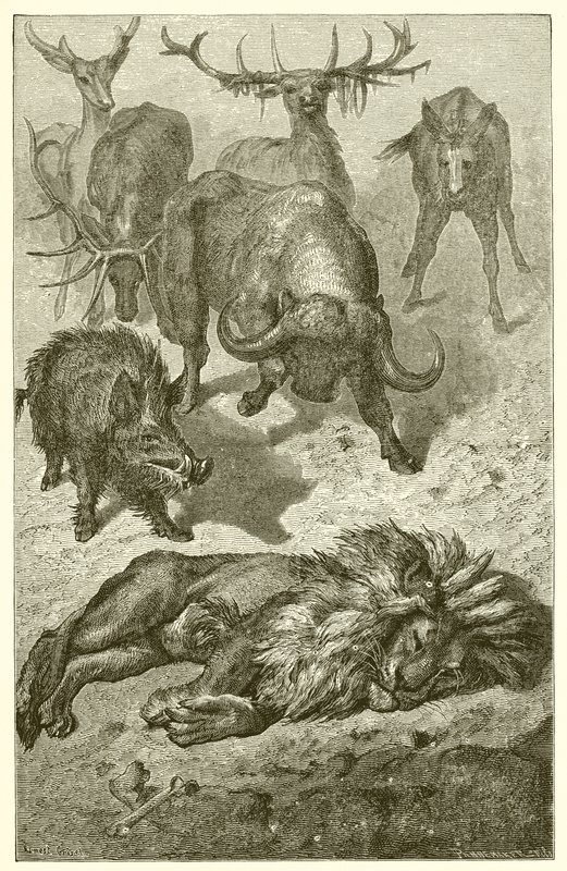 De oude leeuw door Ernest Henry Griset