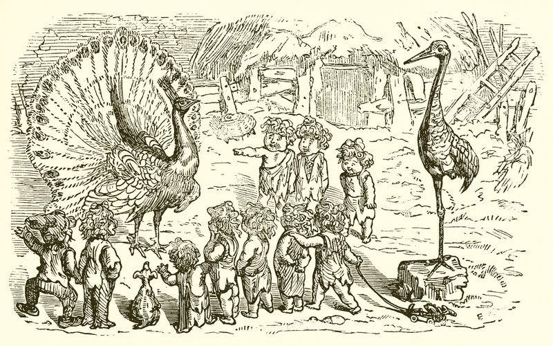 De Pauw en de Kraanvogel door Ernest Henry Griset