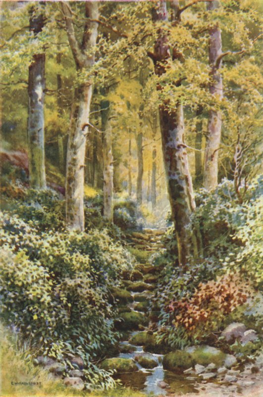 Fairlight Glen door Ernest William Haslehust