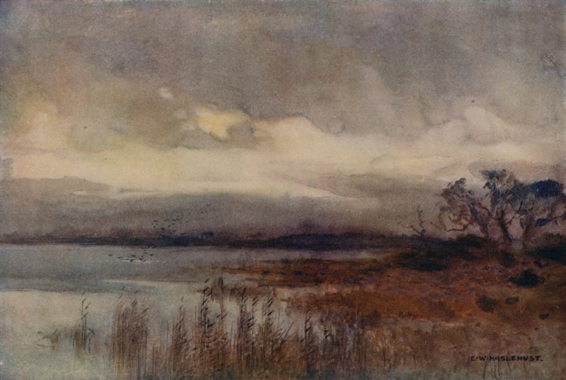 Hickling Broad door Ernest William Haslehust