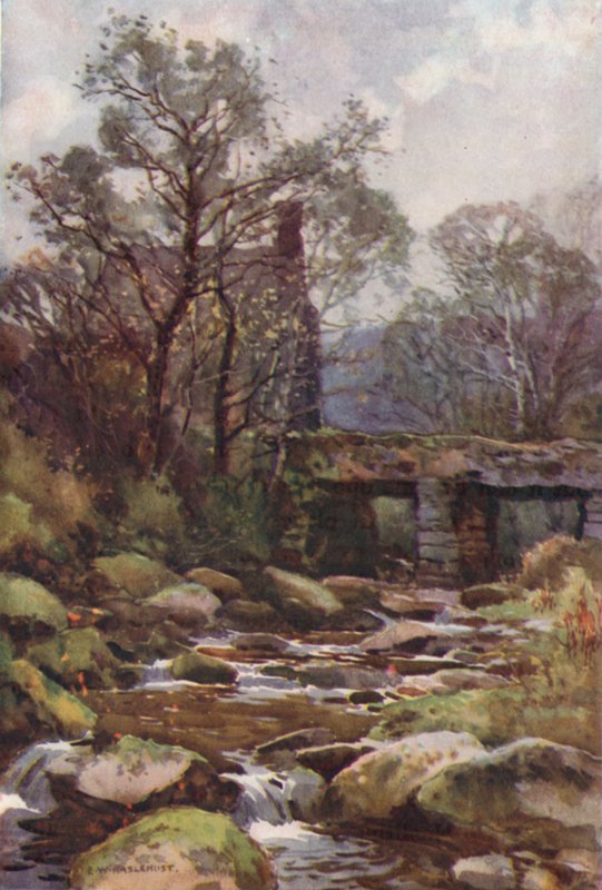 Ockery Bridge, nabij Princetown door Ernest William Haslehust