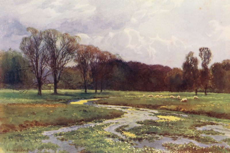 Rivier de Theems: Thames Head door Ernest William Haslehust