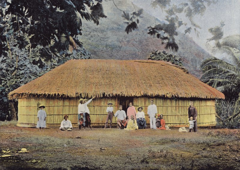 Tahitische hut door European Photographer
