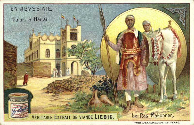 Paleis in Harar en Ras Makonnen, Ethiopië door European School