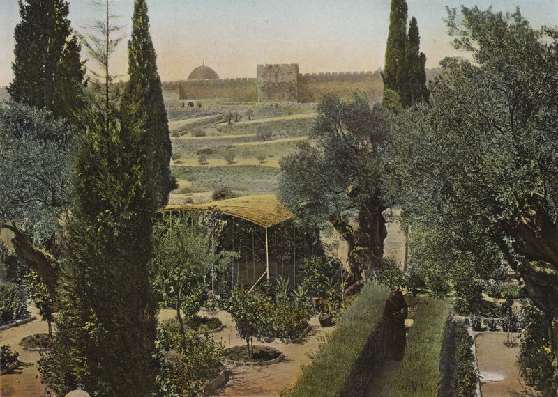 Tuin van Getsemane door European Photographer