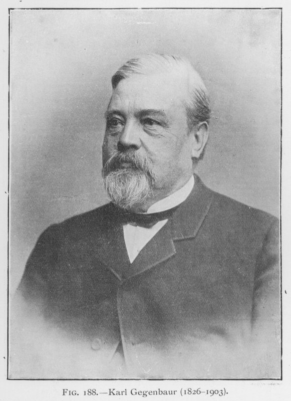 Karl Gegenbaur (1626-1903), portret door European Photographer