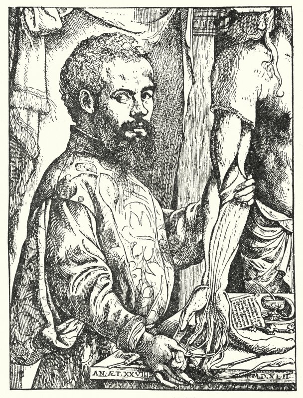 Andreas Vesalius door European School