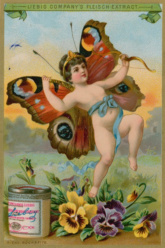 Vlinder Cherub met Viooltjes door European School