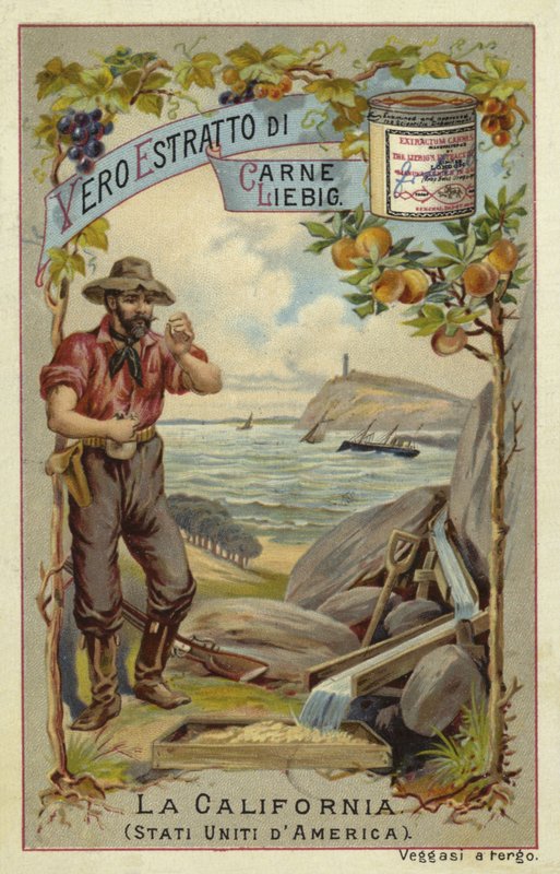 Californië door European School