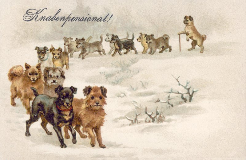 Ansichtkaart hond (kleurenlitho) door European School
