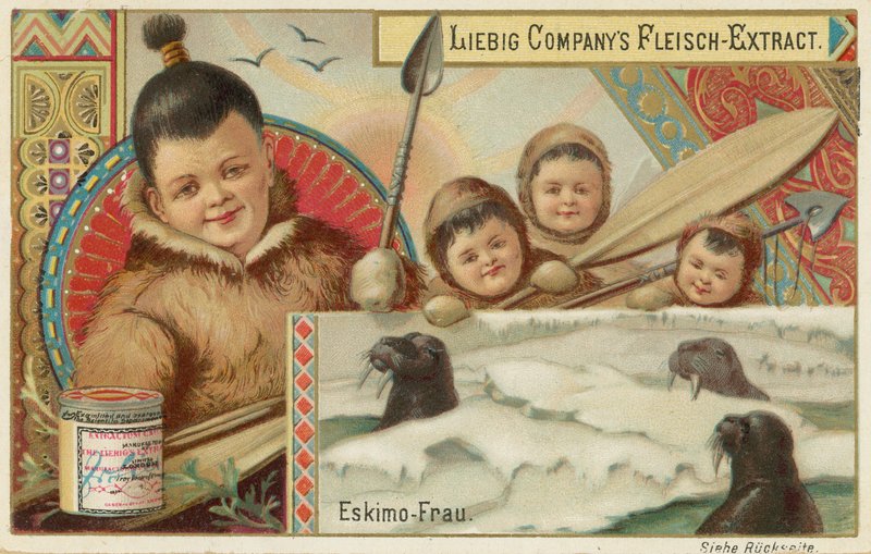 Eskimo door European School