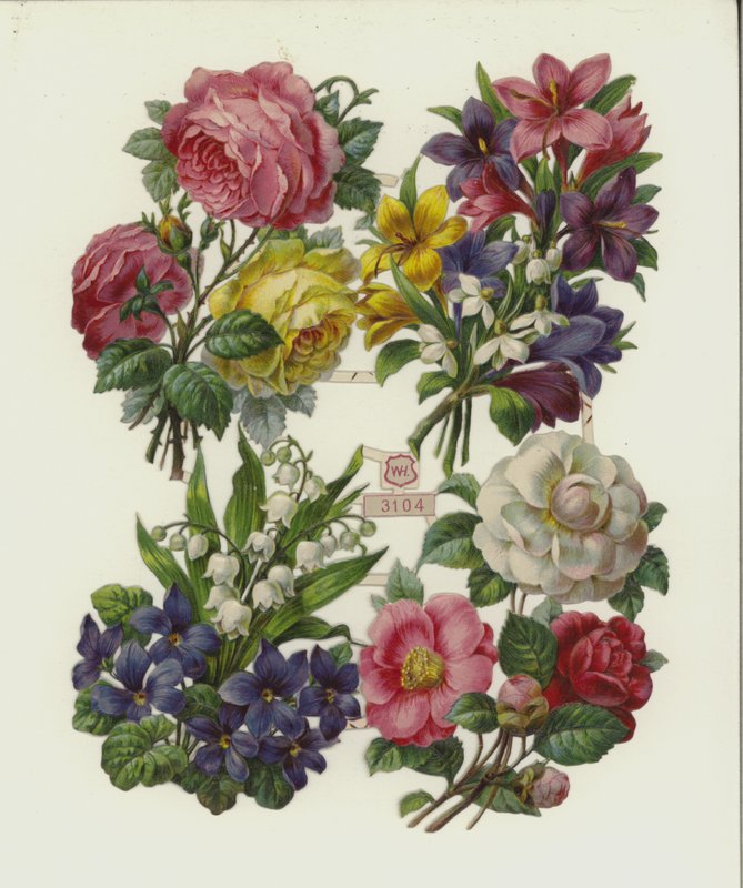 Bloemen door European School