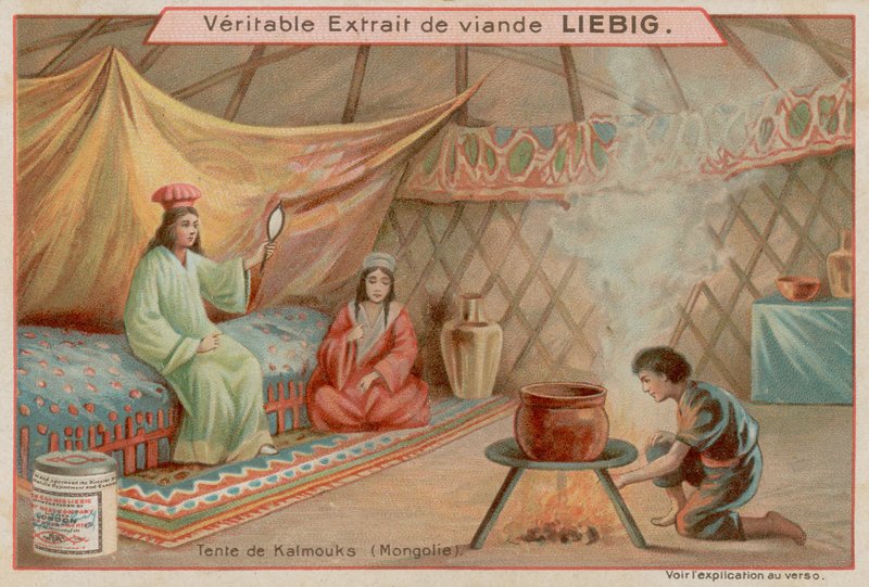 Binnen in een Tent in Mongolië door European School