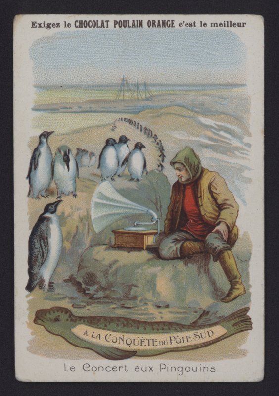 Het Concert bij de Pinguïns door European School