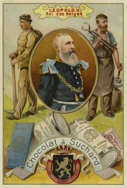 Leopold II, Koning der Belgen door European School