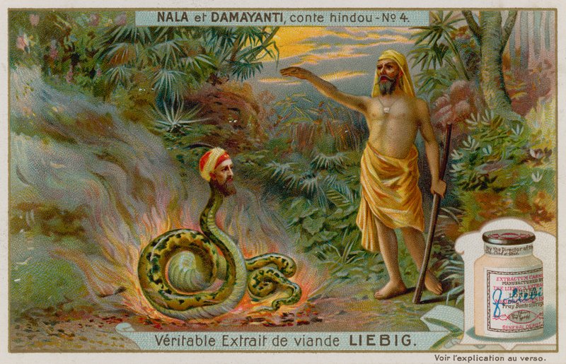 Nala redt de slang Naga Karkotaka door European School