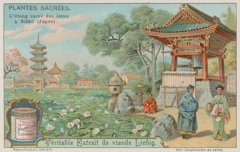 Heilige lotusvijver in Nikko, Japan door European School