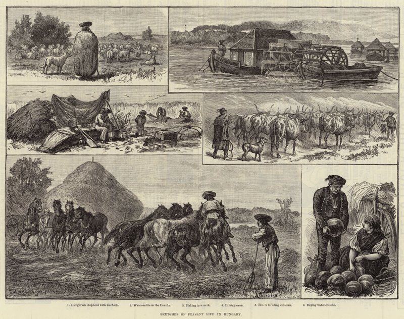 Schetsen van het boerenleven in Hongarije (gravure) door European School