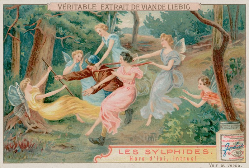 Sylfen en een Indringer door European School