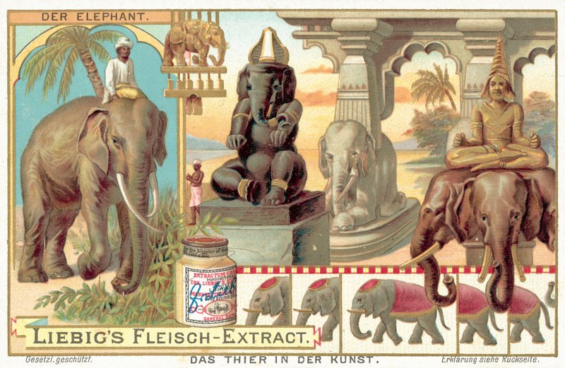 De olifant door European School