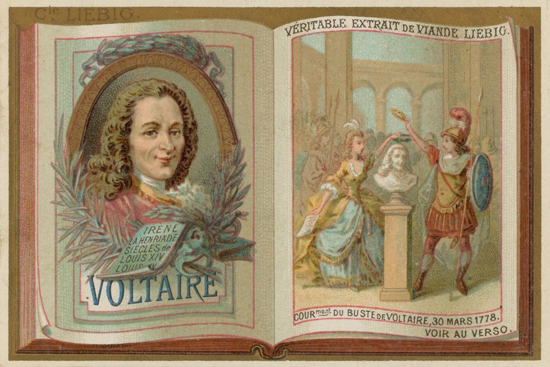 Voltaire door European School