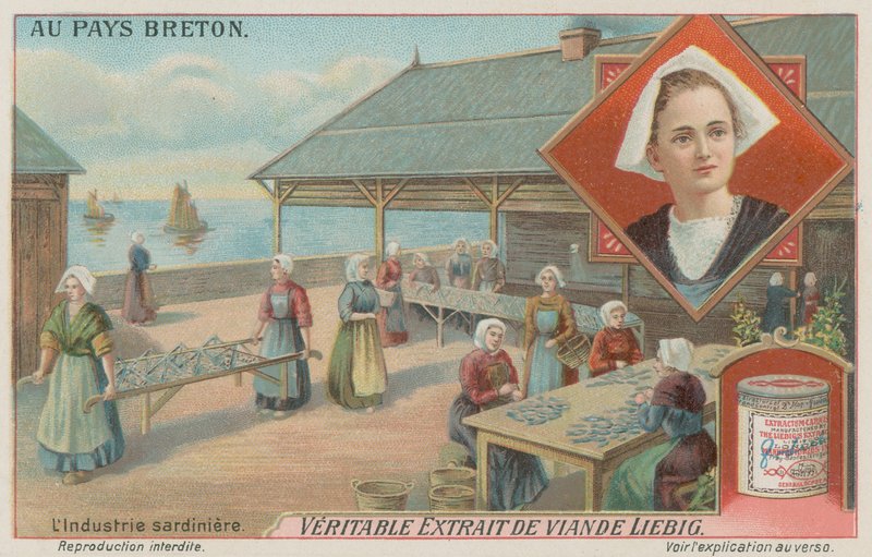 Vrouwen bereiden sardines door European School