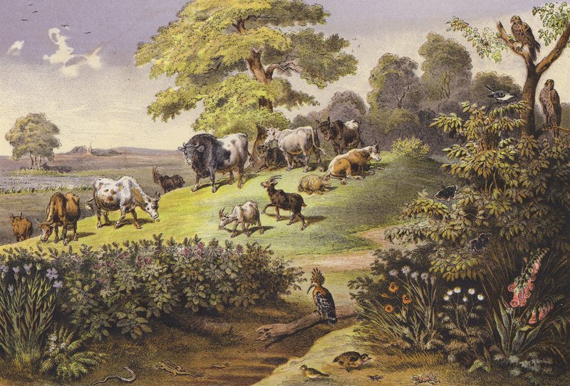 Juli door Ferdinand Karl Klimsch
