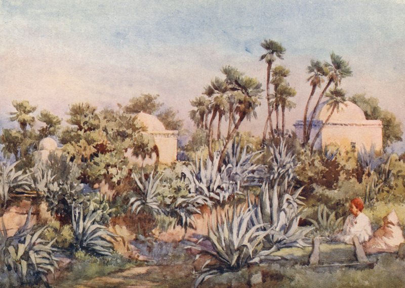 Koubba van Sidi Noumann, Bouzareah door Frances Nesbitt
