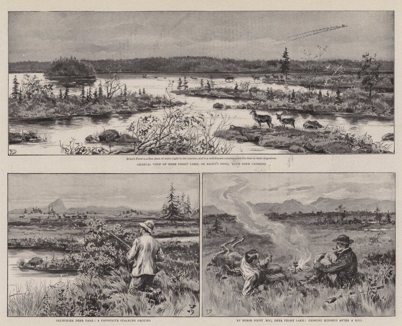 Landbouw en Sport in Newfoundland door Frank Dadd