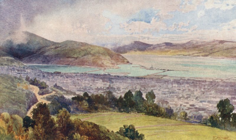 Nieuw-Zeeland: Dunedin door Frank H Wright