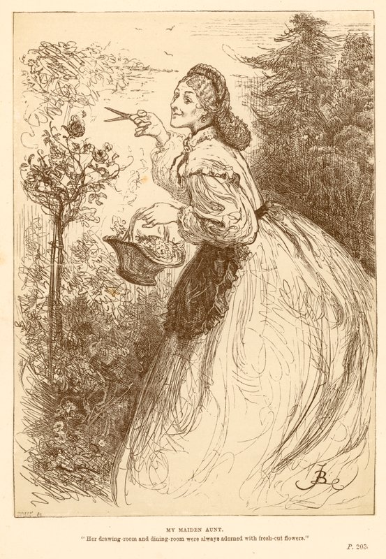Mijn oude tante door Frederick Barnard