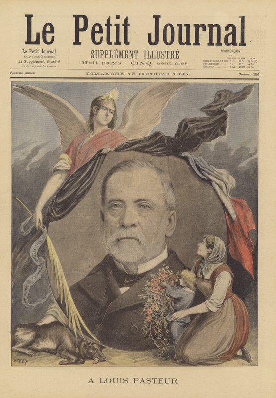 Aan Louis Pasteur door French School