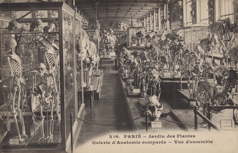 Parijs, Jardin Des Plantes door French Photographer