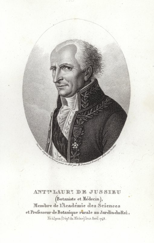 Antoine Laurent de Jussieu door French School