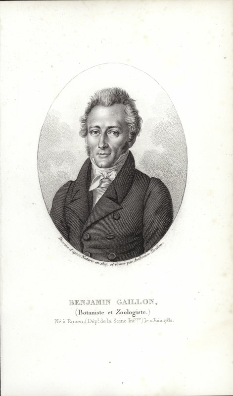 Benjamin Gaillon door French School