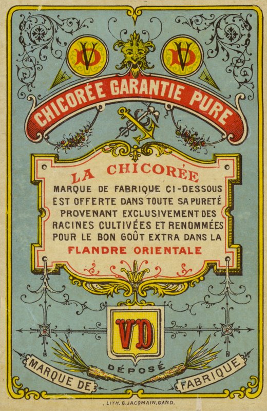 Chicoree garantie puur door French School