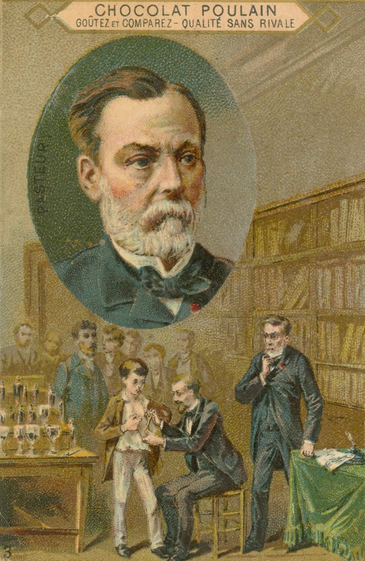 Chocolat Poulain handelskaart, Louis Pasteur door French School