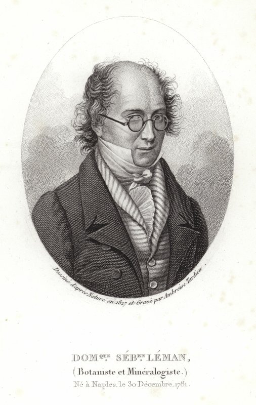 Dominique Sébastien Leman door French School