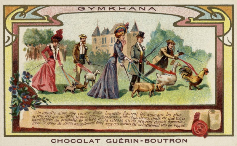Gymkhana door French School
