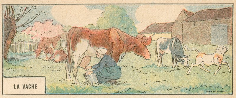 La Vache door French School