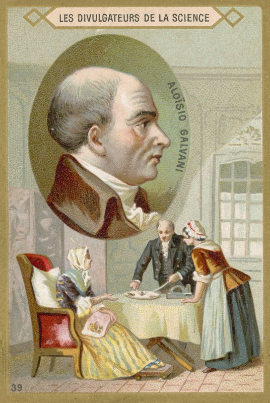 Luigi Galvani door French School