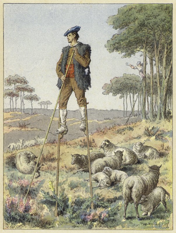 Herder op stelten, Landes, Frankrijk door French School